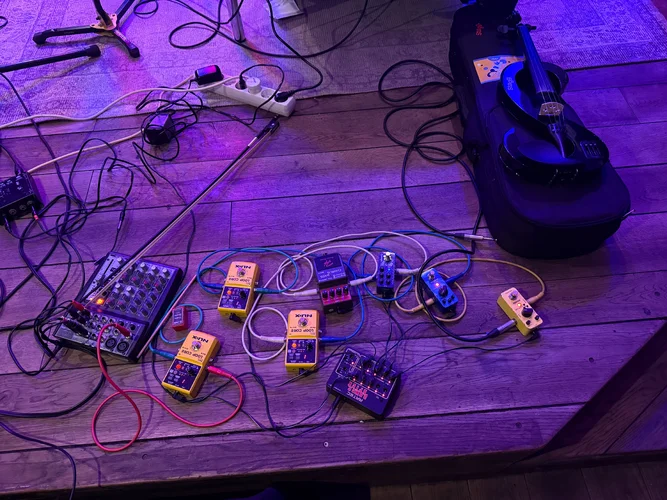 Struppig Tanzen 25 5322.webp