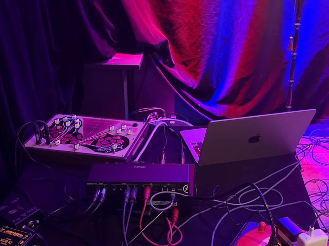 Struppig Tanzen 25 5311.webp