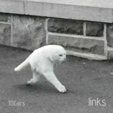 cat-picture-google streetview.webp