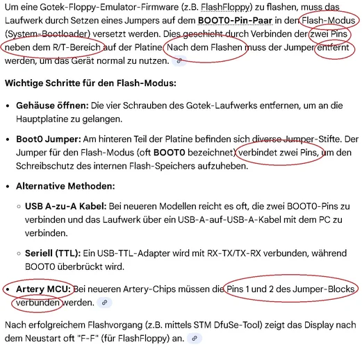 GOTEK Flash Modus.webp