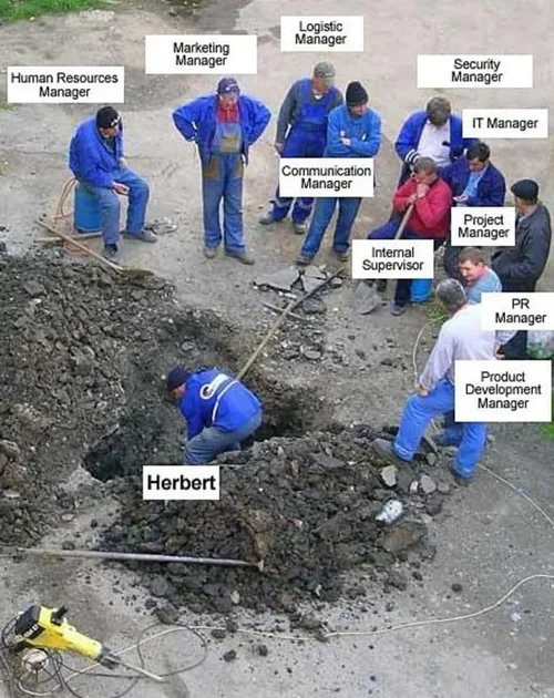 IMG_2244.webp IMG_2244.webp