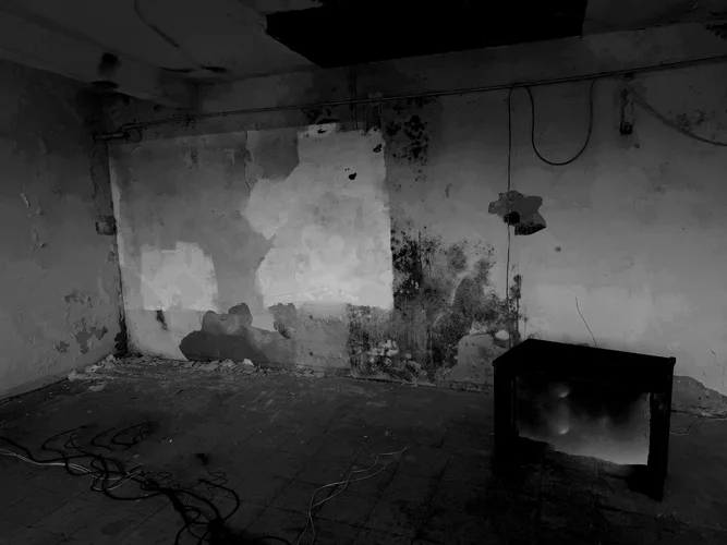 Morbid - 32 Tracks mit dem Ziel maximal morbid zu klingen…