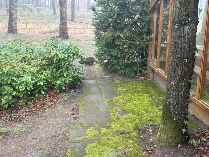 Nerdlich der Mitte 2026 7123.webp