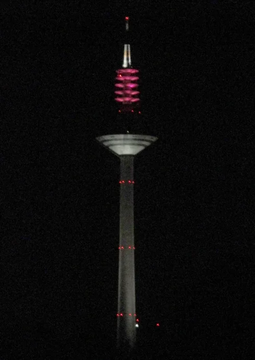 180804_72_900x1270.webp 180804_72_900x1270.webp