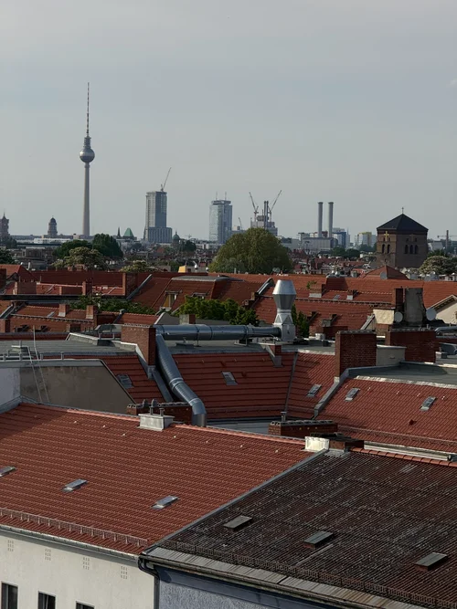 Klunkerkranich DIY _9766.webp