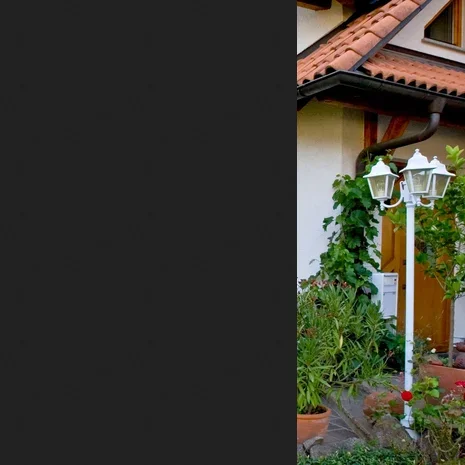 Screenshot 2026-07-24 at 00-09-55 Screenshot 2026-07-24 at 00-09-19 baum am haus - Google Suc...webp