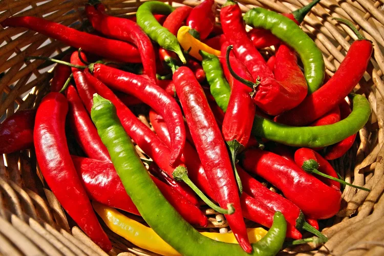 Chillies_2018_Low.webp