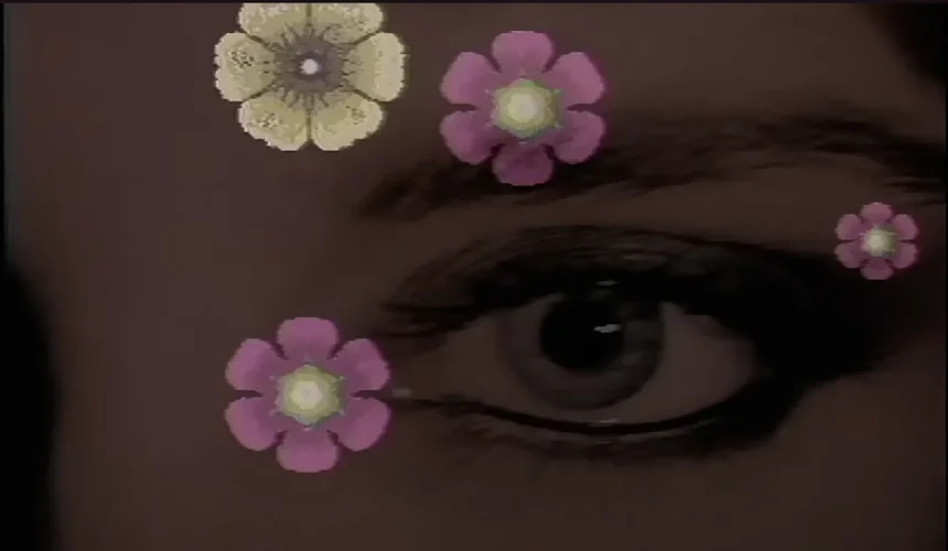 Please_Dont_Go_Screenshot_Flowers2.webp Please_Dont_Go_Screenshot_Flowers2.webp
