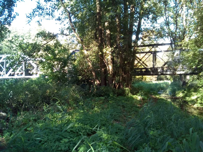 IMG_20180918_154740.webp IMG_20180918_154740.webp