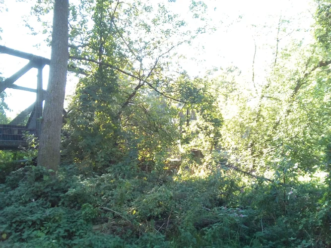 IMG_20180918_154646.webp IMG_20180918_154646.webp