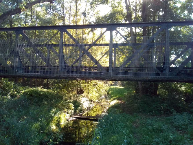 IMG_20180918_154637.webp IMG_20180918_154637.webp