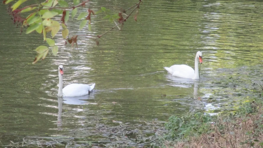 180925_17_1920x1080_85.webp 180925_17_1920x1080_85.webp