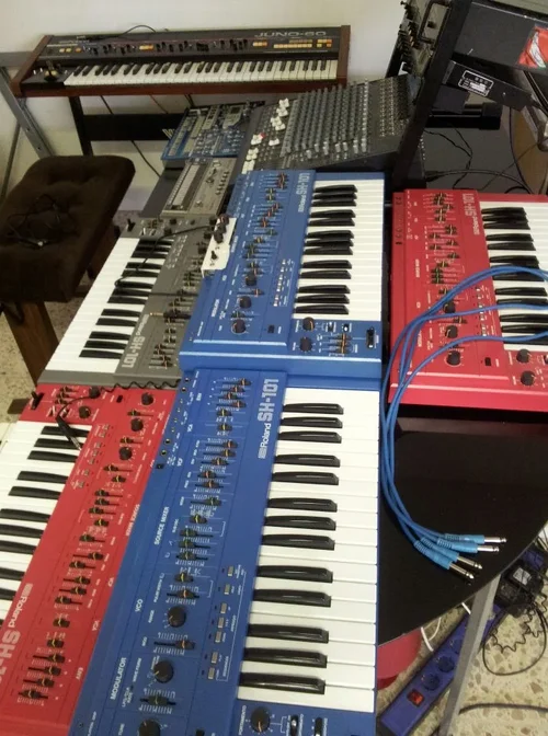 wirsch bei wahnsinn.webp