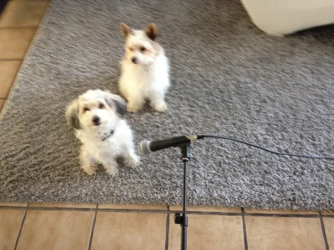 2012-08-23 12.11.32.webp