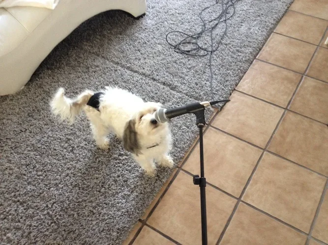 2012-08-23 12.06.32.webp