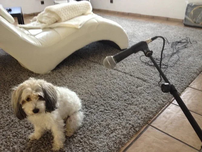 2012-08-23 12.07.12.webp