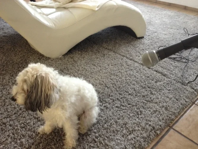 2012-08-23 12.07.06.webp