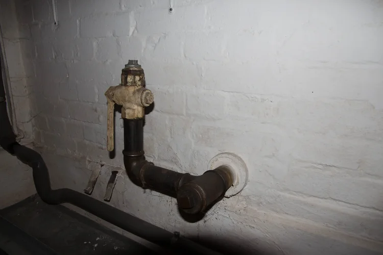 IMG_8432.webp IMG_8432.webp