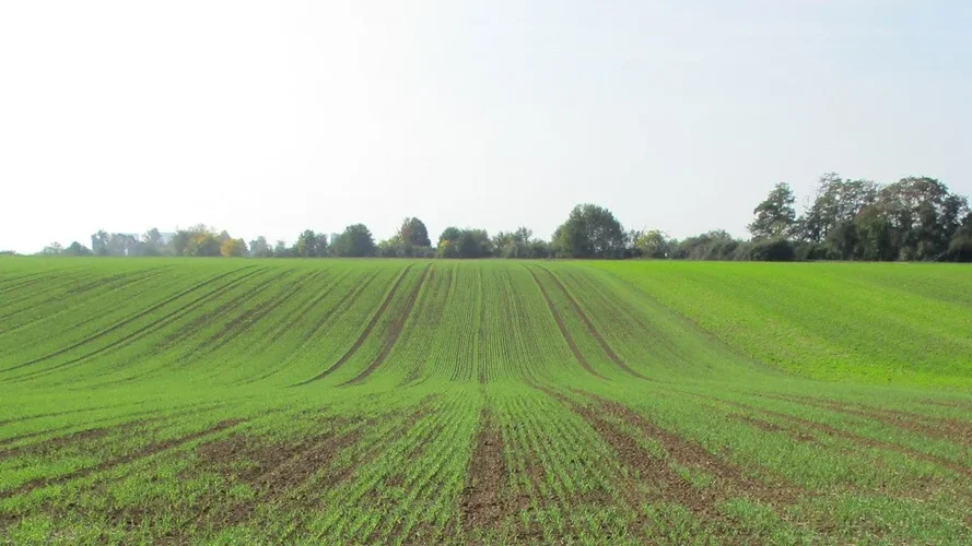 181020_64_960x540.webp 181020_64_960x540.webp