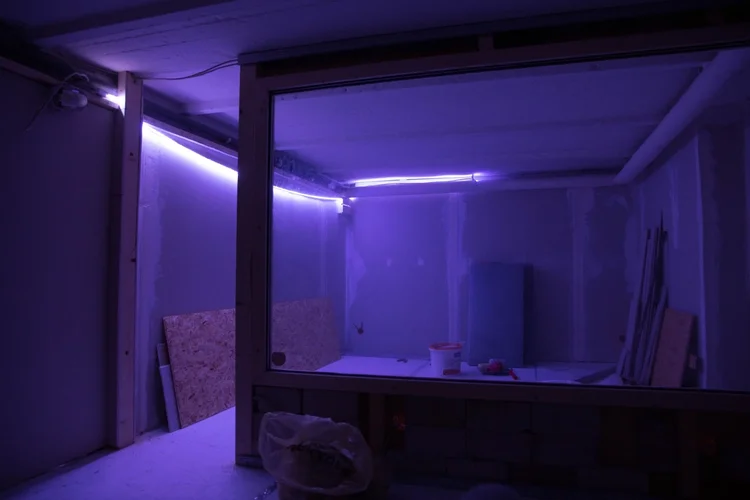 November 2018_21.webp