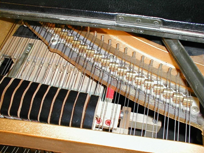 PIC00011.webp PIC00011.webp