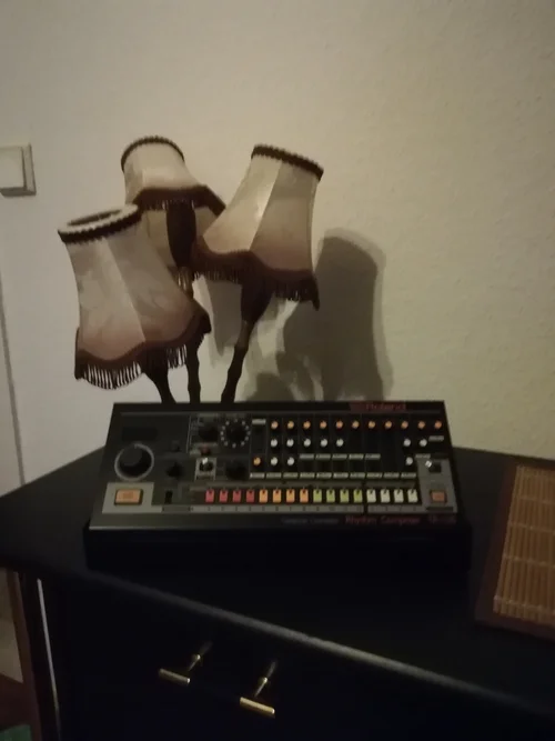 IMG_20190226_173941.webp IMG_20190226_173941.webp