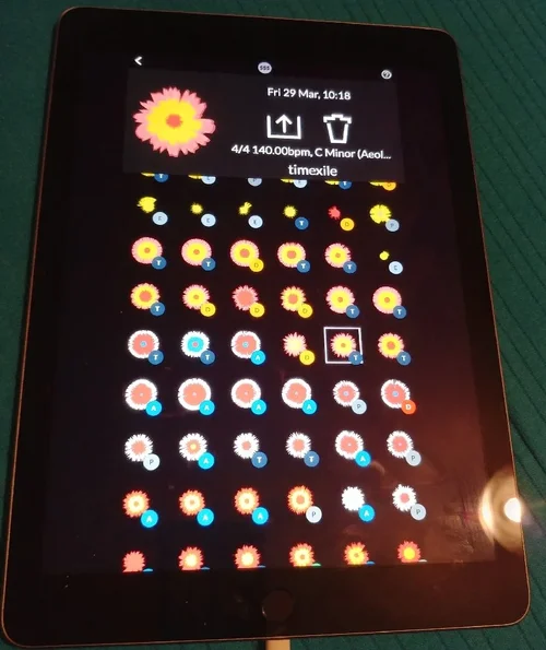 20190329_221113_HDR_1553893930558.webp 20190329_221113_HDR_1553893930558.webp