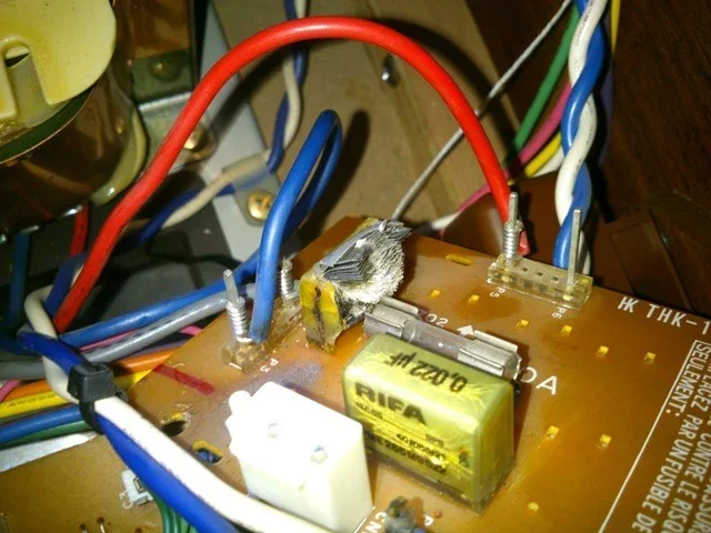 Yamaha FE-60 Rifa.webp