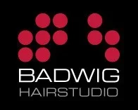 badwig.webp