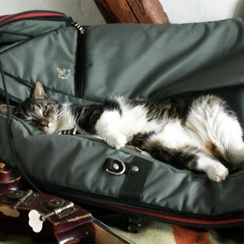 nikolaus passt auf.webp