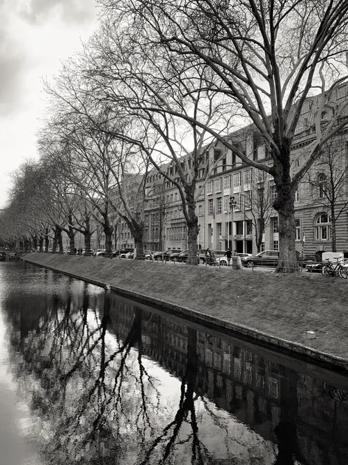 F1E34815-0BC6-479E-B2D1-DFE44F1077D6.webp F1E34815-0BC6-479E-B2D1-DFE44F1077D6.webp