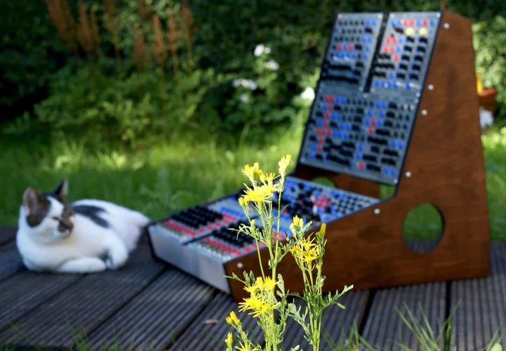 160824 serge wooden cabinet 11.webp