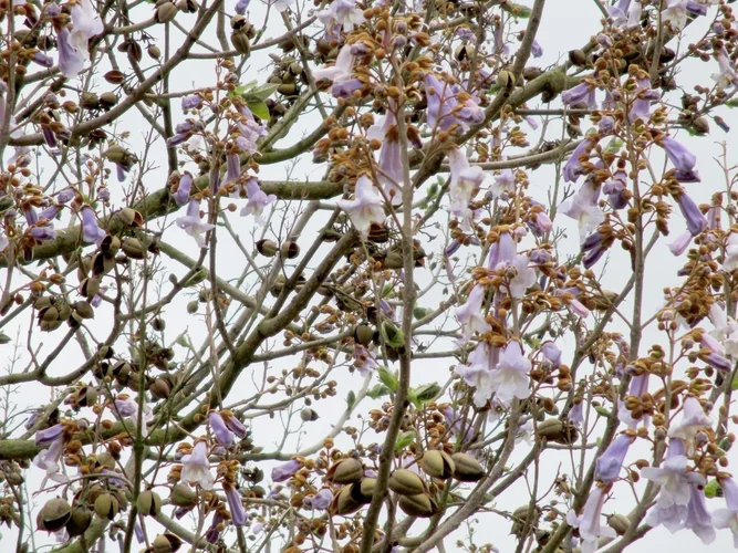 190505_63_1280x960.webp 190505_63_1280x960.webp