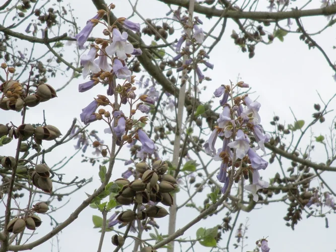 190505_60_1280x960.webp 190505_60_1280x960.webp