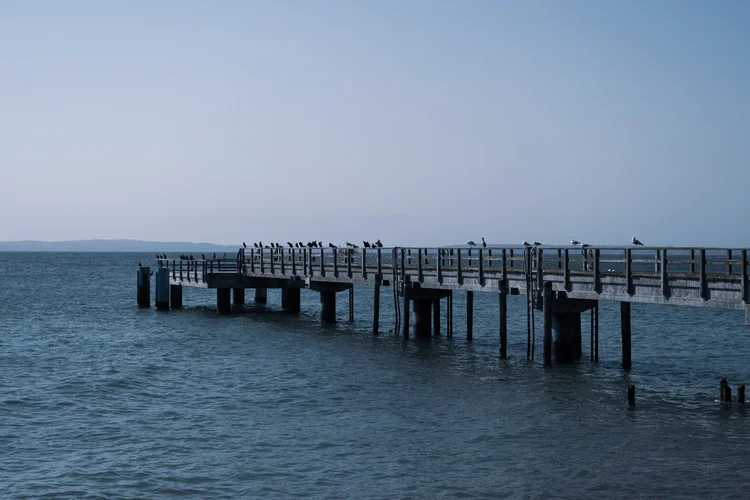 83F4C1FA-023D-465D-98A0-AA88BA9A72B5.webp 83F4C1FA-023D-465D-98A0-AA88BA9A72B5.webp