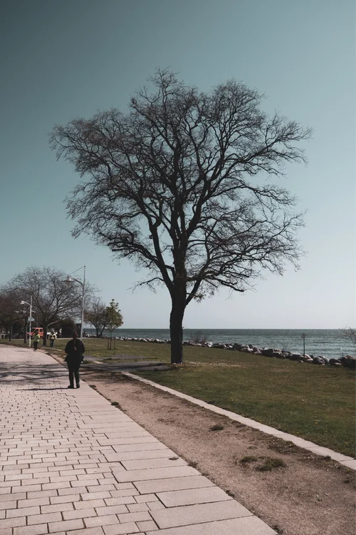 F846CA95-8EFD-4B0E-B7DF-EE852A7CF8BB.webp F846CA95-8EFD-4B0E-B7DF-EE852A7CF8BB.webp