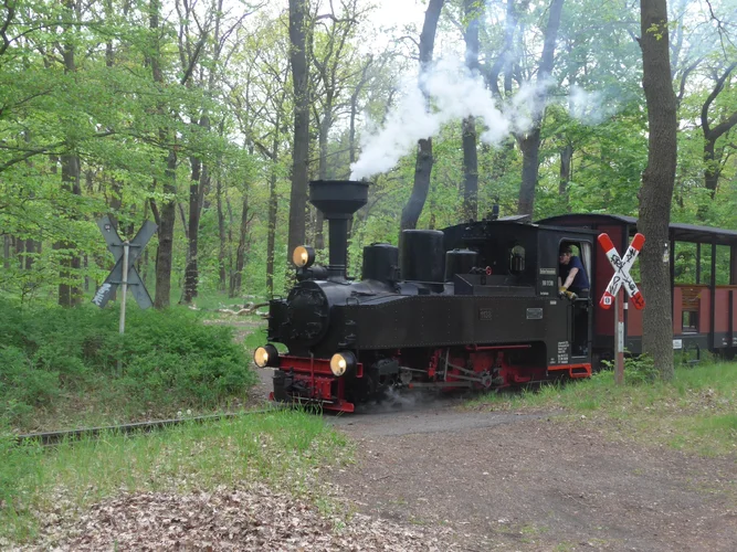 P1030184.webp P1030184.webp