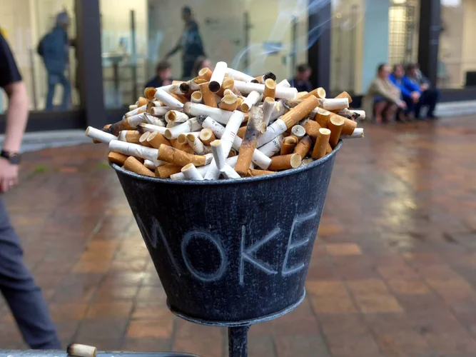 P1030187.webp P1030187.webp