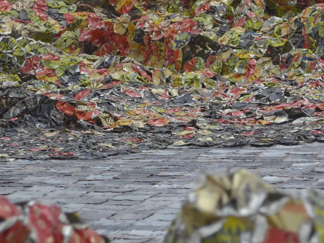 P1030509.webp P1030509.webp