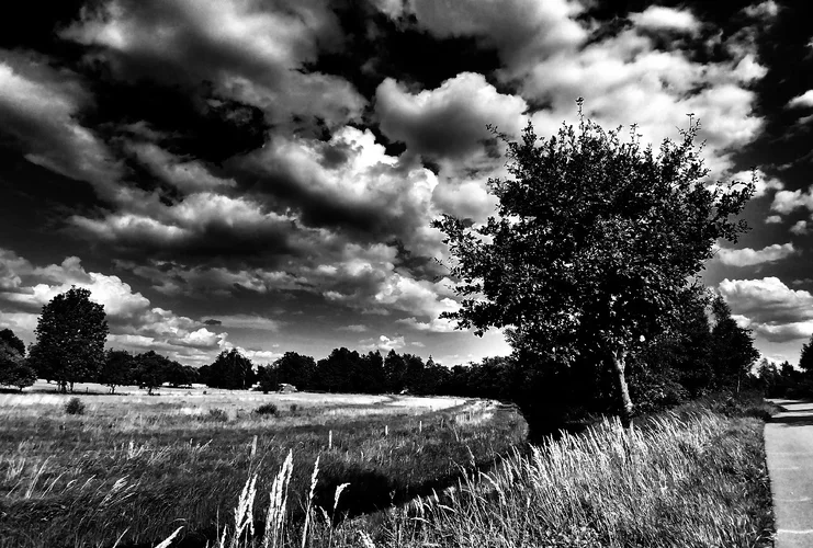 20190812_154039_HDR-01_1565767466357.webp 20190812_154039_HDR-01_1565767466357.webp