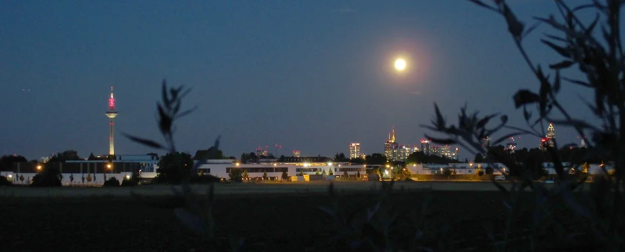 190814_55_1240x500.webp 190814_55_1240x500.webp