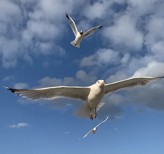 8B0FCECE-3744-4218-BBA0-C59BC1B549BF.jpeg 8B0FCECE-3744-4218-BBA0-C59BC1B549BF.jpeg