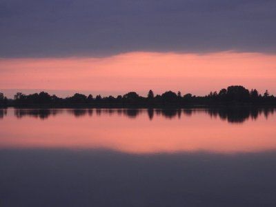 Schwan 4.jpg