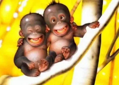 pg affen.webp pg affen.webp