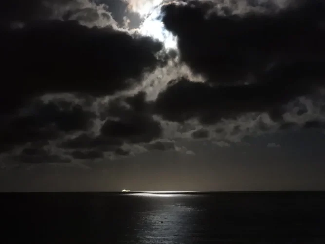 5C21BFAB-C3C6-4309-A2EB-9A8D2D3F4C1A.jpeg 5C21BFAB-C3C6-4309-A2EB-9A8D2D3F4C1A.jpeg