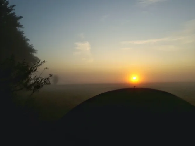 20190904_062656-01.webp 20190904_062656-01.webp