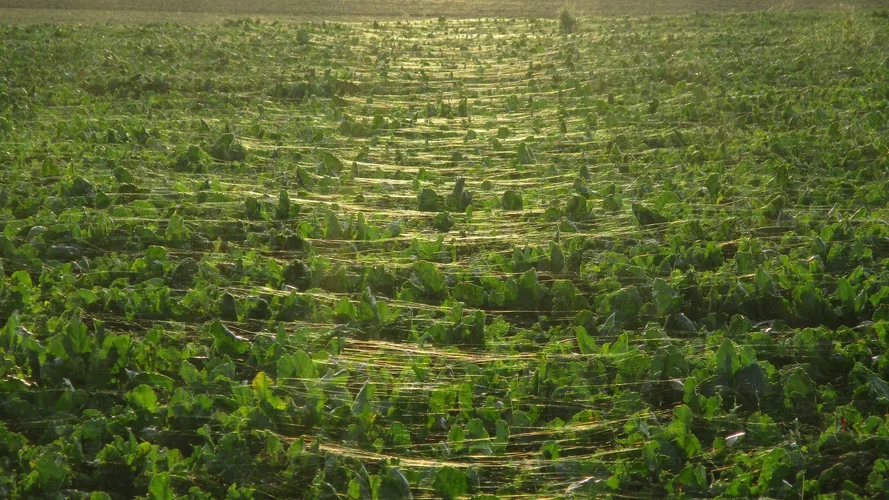 191022_195_1920x1080.jpg 191022_195_1920x1080.jpg