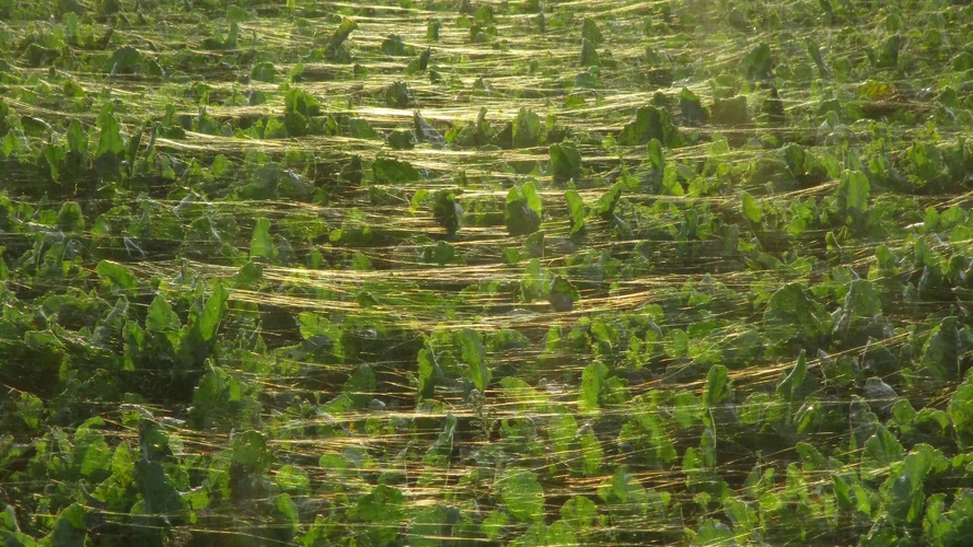 191022_204_1920x1080.jpg 191022_204_1920x1080.jpg