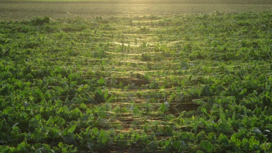 191022_221_1920x1080.jpg 191022_221_1920x1080.jpg