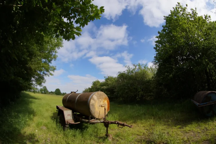 Fisheye Wasserhänger.webp